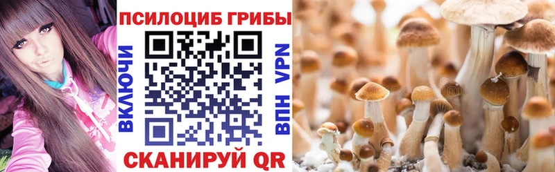 мега ССЫЛКА  где купить наркотик  Тосно  Псилоцибиновые грибы мицелий 